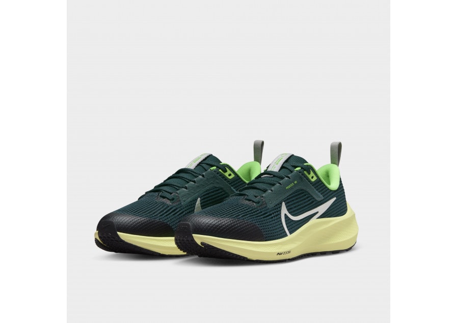 Nike Air Zoom Pegasus 40 Kids Shoes Green DX2498 301